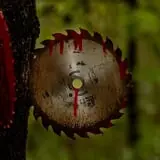 Pappy's Haunted Trails