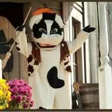 Old West Pumpkin Fest at Rockin R Ranch photo