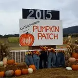 Lil' Harvester's Pumpkin Patch photo