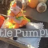 Lil' Harvester's Pumpkin Patch photo