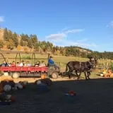 Lil' Harvester's Pumpkin Patch photo