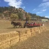 Lil' Harvester's Pumpkin Patch photo