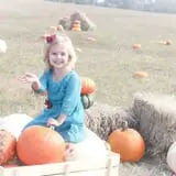 Lil' Harvester's Pumpkin Patch photo