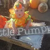 Lil' Harvester's Pumpkin Patch photo