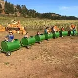 Lil' Harvester's Pumpkin Patch photo