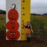 Lil' Harvester's Pumpkin Patch photo