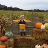 Lil' Harvester's Pumpkin Patch photo