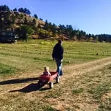 Lil' Harvester's Pumpkin Patch photo