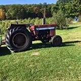 Dowse Orchards photo