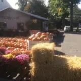 Dowse Orchards photo