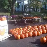 Dowse Orchards photo