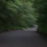 Sweet Hollow Road photo
