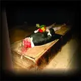 Baxter Avenue Morgue photo