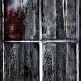 Fear Asylum Haunted House photo
