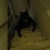 Fear Asylum Haunted House photo