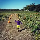 Stuckmeyer's Farm Halloween Farm Fun Days photo