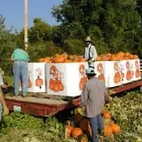 Stuckmeyer's Farm Halloween Farm Fun Days photo