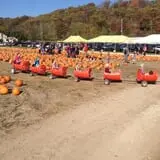 Stuckmeyer's Farm Halloween Farm Fun Days photo