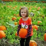 Stuckmeyer's Farm Halloween Farm Fun Days photo
