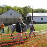 Stuckmeyer's Farm Halloween Farm Fun Days photo