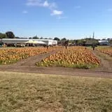 Stuckmeyer's Farm Halloween Farm Fun Days photo