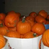 Stuckmeyer's Farm Halloween Farm Fun Days photo