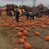 Stuckmeyer's Farm Halloween Farm Fun Days photo