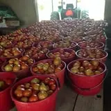 Stuckmeyer's Farm Halloween Farm Fun Days photo