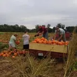 Stuckmeyer's Farm Halloween Farm Fun Days photo