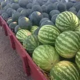 Stuckmeyer's Farm Halloween Farm Fun Days photo