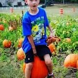 Stuckmeyer's Farm Halloween Farm Fun Days photo