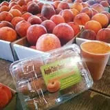 Braeutigam Orchards Pumpkin Festival photo