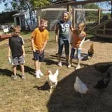 Braeutigam Orchards Pumpkin Festival photo