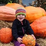 Braeutigam Orchards Pumpkin Festival photo