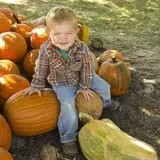 Braeutigam Orchards Pumpkin Festival photo