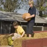Braeutigam Orchards Pumpkin Festival photo