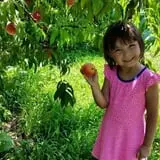 Braeutigam Orchards Pumpkin Festival photo