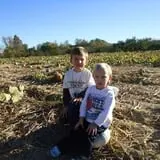 Braeutigam Orchards Pumpkin Festival photo