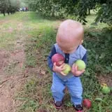 Braeutigam Orchards Pumpkin Festival photo