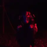 Station 7 Terror Trail photo