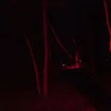 Station 7 Terror Trail photo