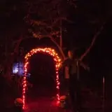 Station 7 Terror Trail photo