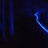 Station 7 Terror Trail photo