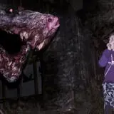 Schuster's Haunted Forest photo
