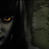 Schuster's Haunted Forest