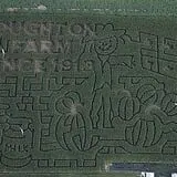 Stoughton Farm photo