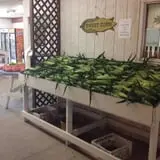 Stoughton Farm photo
