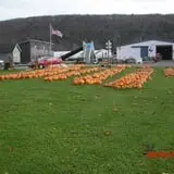 Stoughton Farm photo