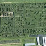 Stoughton Farm photo