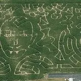 Stoughton Farm photo
